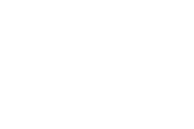 ارائه خدمات طراحی سایت و سئو در گرگان